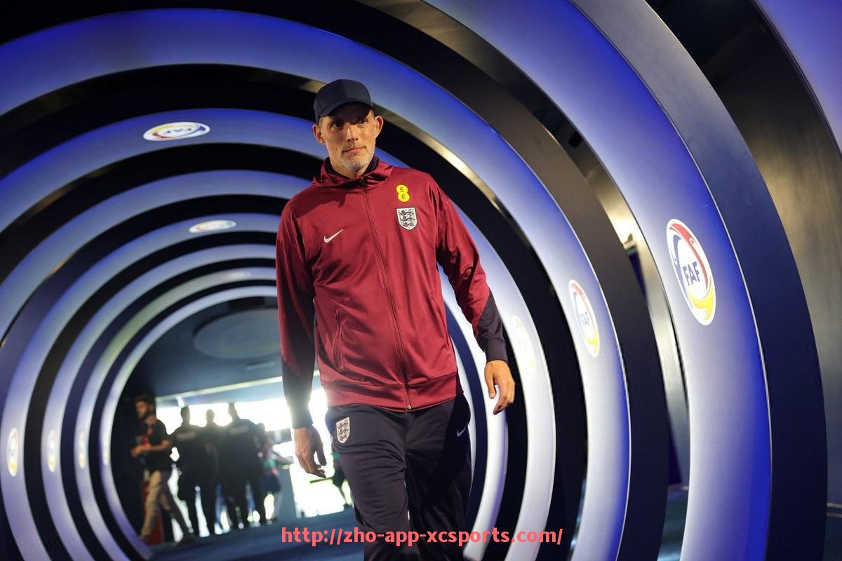 杏彩体育-曾被私人或企业收购的德甲球队及股权结构分析