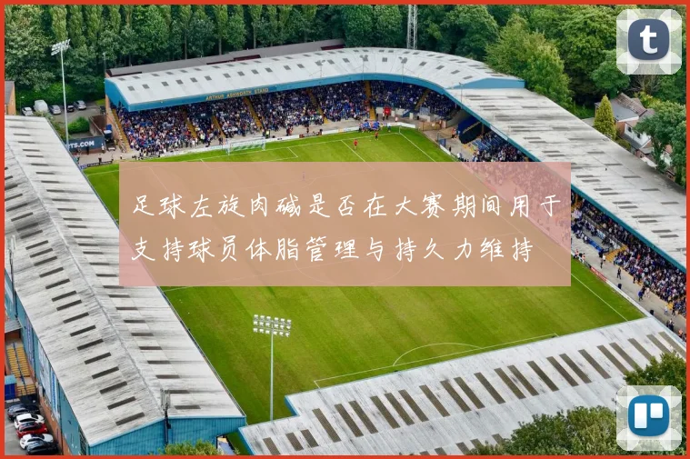 足球左旋肉碱是否在大赛期间用于支持球员体脂管理与持久力维持