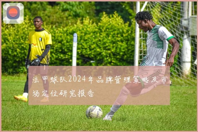 法甲球队2024年品牌管理策略及市场定位研究报告