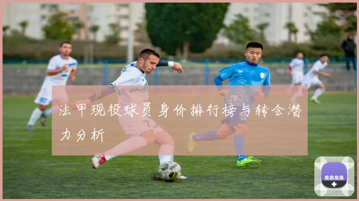法甲现役球员身价排行榜与转会潜力分析