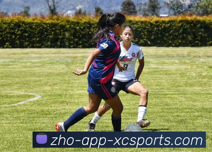 辅助工具 辅助工具